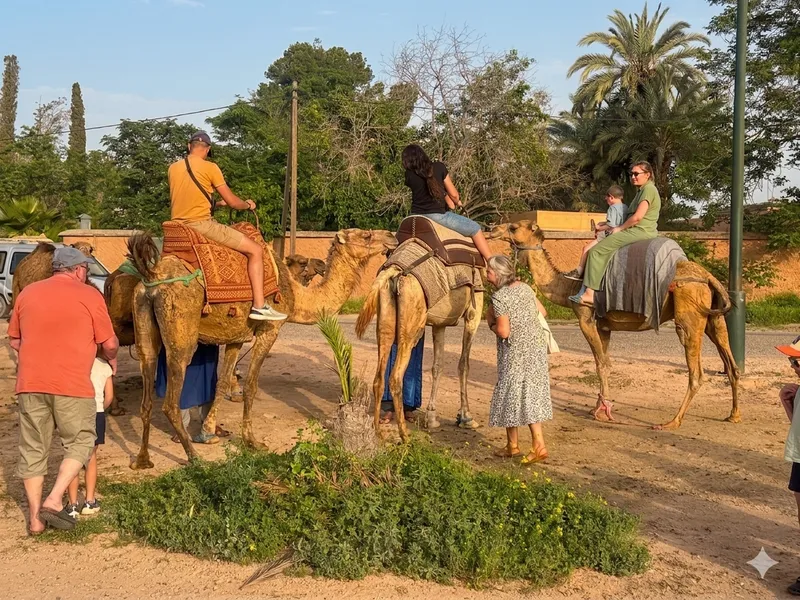 Camel Ride & Pony Tour Combo