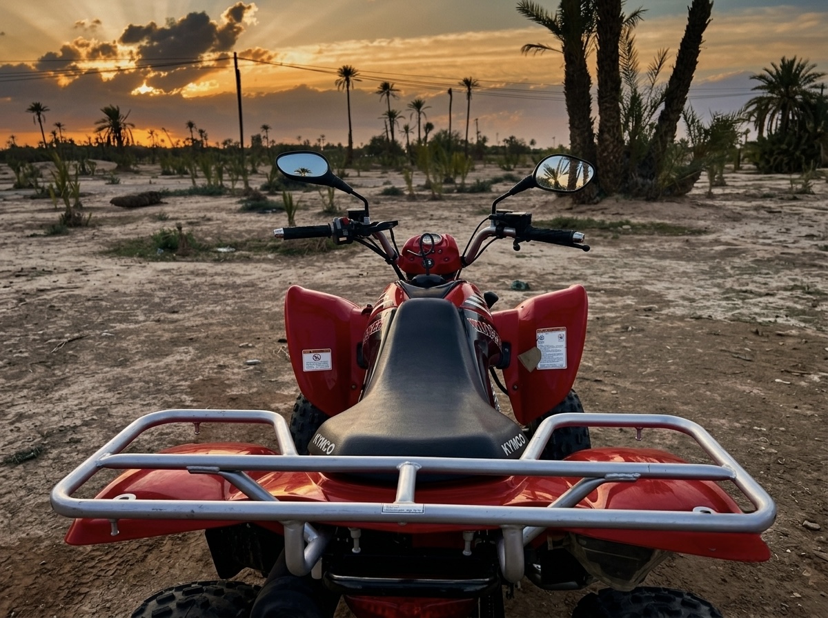 Private quad bike Palmeraie Marrakech 2