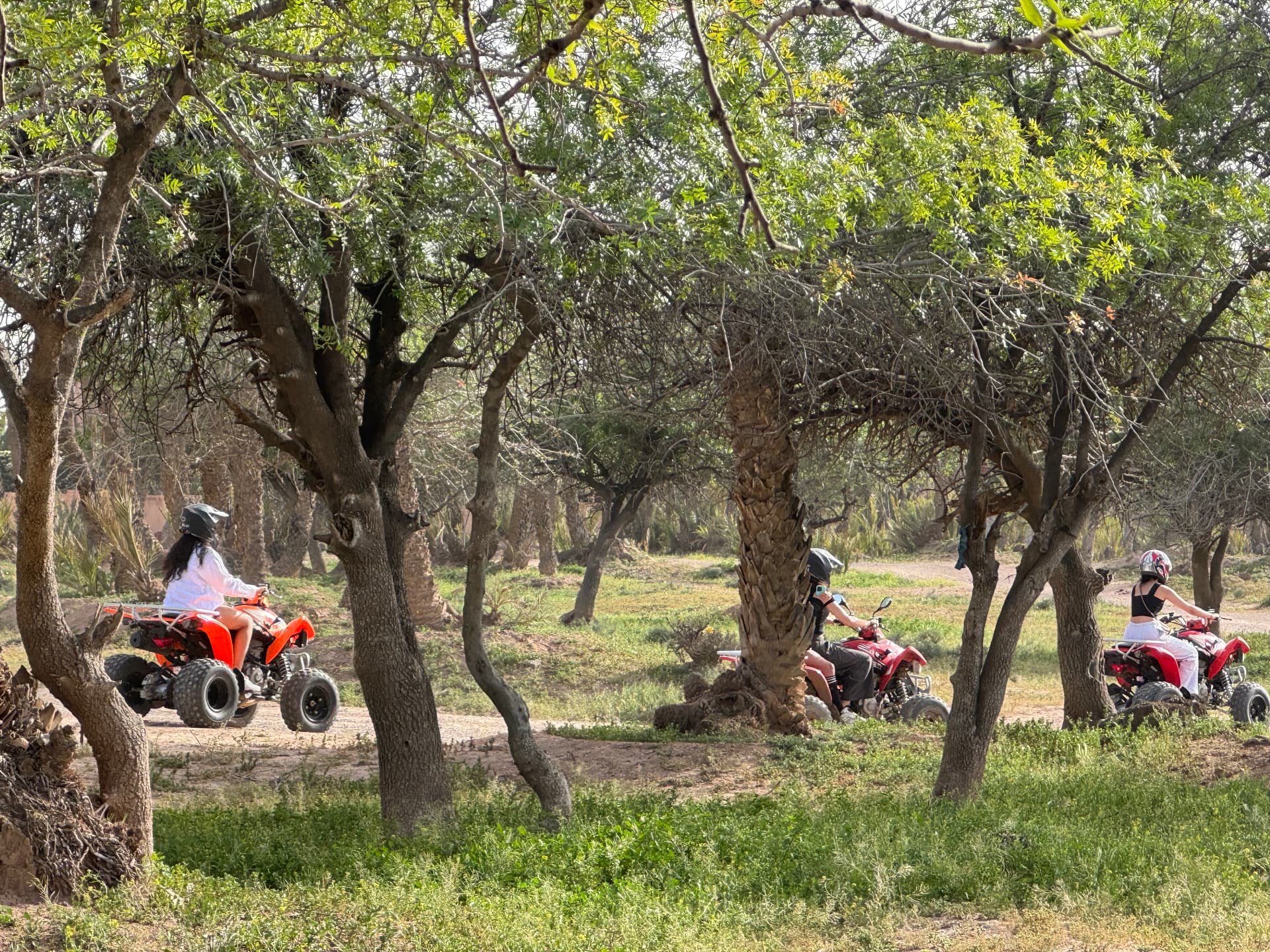 Private quad bike Palmeraie Marrakech 4