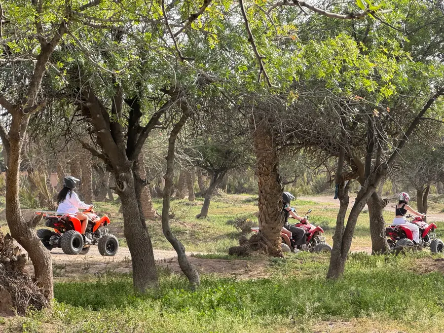 Riders quad biking between palm trees in Palmeraie, Marrakech